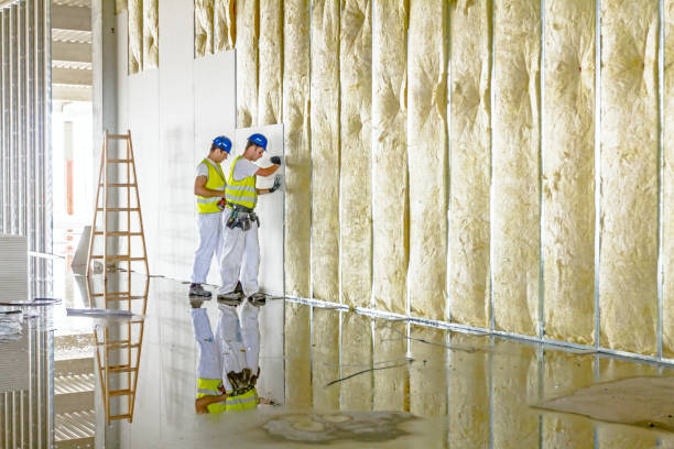 Best Eco-Friendly Insulation in Sneedville, TN
